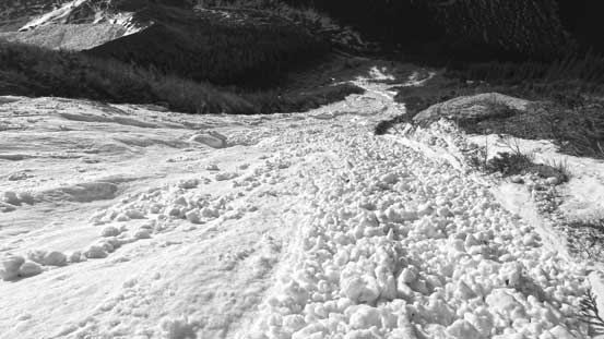 Fresh avalanche debris everywhere. 